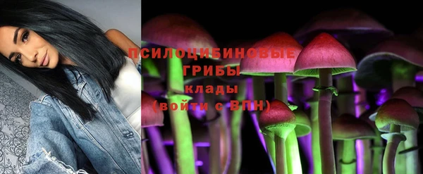 MESCALINE Каменка