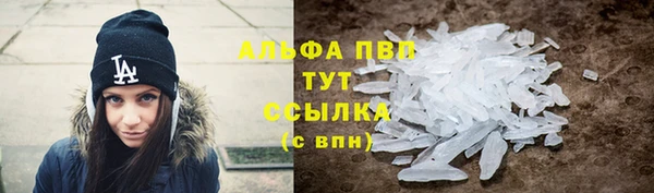 сатива Каменногорск