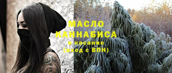 сатива Каменногорск