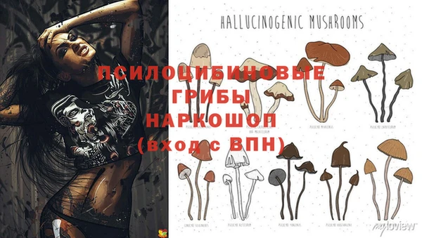 MESCALINE Каменка