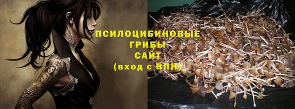 сатива Каменногорск
