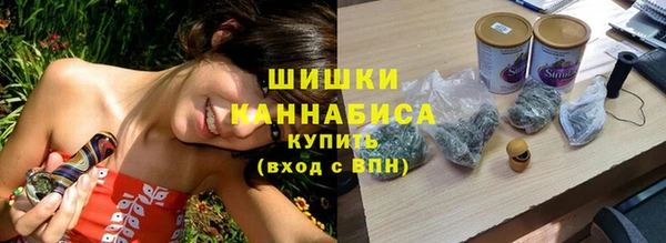 сатива Каменногорск