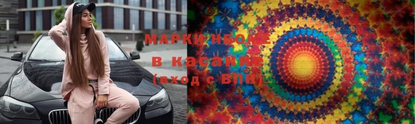 сатива Каменногорск