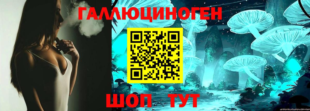 Псилоцибиновые грибы Psilocybe Новочеркасск