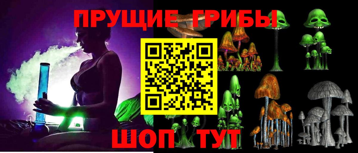 Галлюциногенные грибы GOLDEN TEACHER  Галлюциногенные грибы Psilocybine cubensis  Вход с VPN  Новочеркасск 